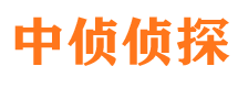 城步寻人公司